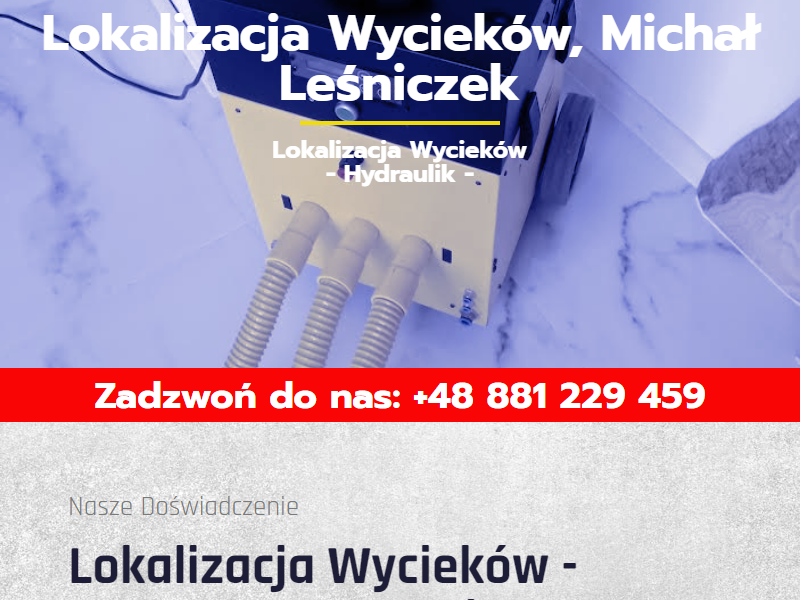 Michal Leśniaczek Osuszanie i lokalizacja wycieków